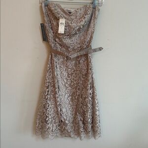 NWT Ann Taylor Lace Overlay Strapless Dress – Champagne / Pale Gold – Size 2